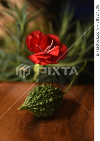 Bitter gourd and carnation Bitter gourd and carnation 58827308