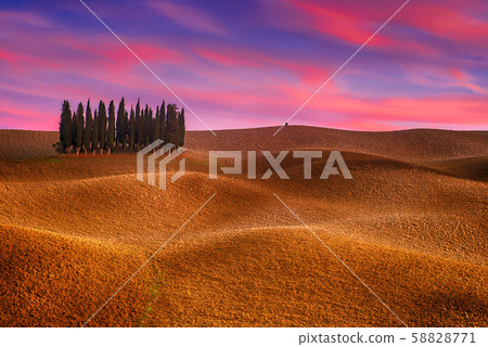 Tuscany landscape with cypress Tuscany landscape with cypress 58828771