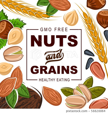 Healthy organic nuts and cereal grains Healthy organic nuts and cereal grains 58828864