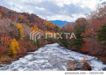 Stream river in autumn forest, beautiful nature of tree in fallen leaves 58830199