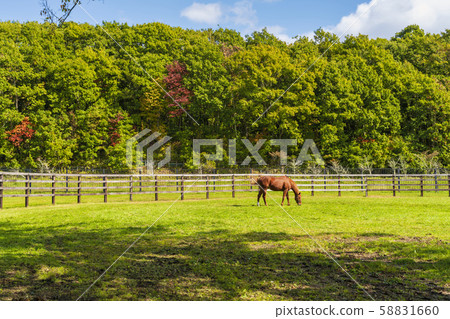 Ranch scenery horse Ranch scenery horse 58831660