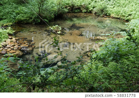 [日本著名水的100種選擇]岡山縣真庭市鹽沼的冷泉全景 58831778