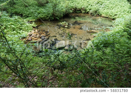[100種日本名水] [大山-沖繩國家公園]岡山縣鹽沼冷泉真庭市 58831780