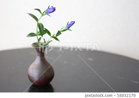 Ryu Gall in a vase 58832170