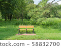 綠樹環繞的公園長椅 58832700