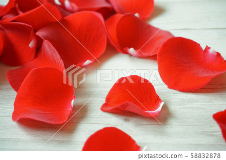Rose petals close-up 58832878