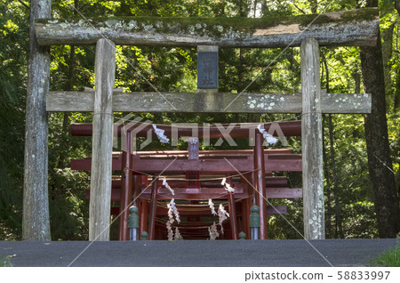 Shinyayama Shrine Torii Shinyayama Shrine Torii 58833997