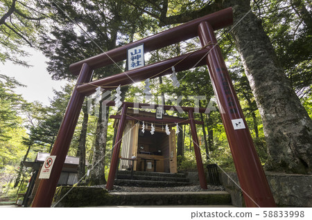 Shinya Sankyo Shrine Okumi Shinya Sankyo Shrine Okumi 58833998