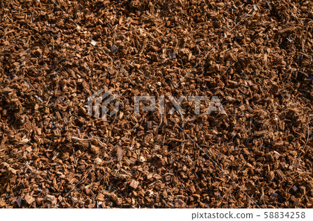 Coconut husk chips Coconut husk chips 58834258