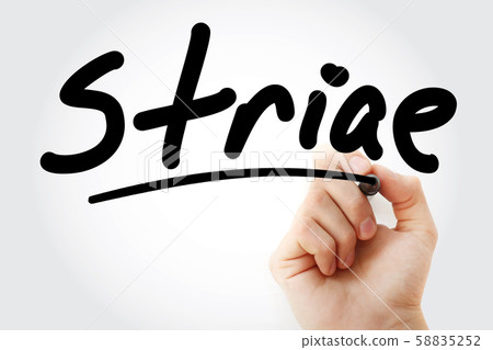 Hand writing Striae with marker Hand writing Striae with marker 58835252