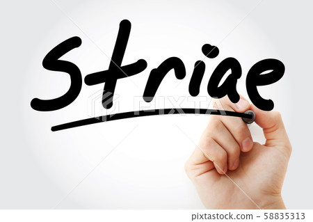 Hand writing Striae with marker 58835313