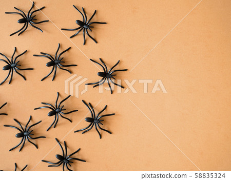 Halloween background decoration holiday concept. Minimal flat lay view of black spide. October Halloween background decoration holiday concept. Minimal flat lay view of black spide. October 58835324