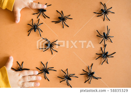 Halloween background decoration holiday concept. Minimal flat lay view of black spide. October 58835329