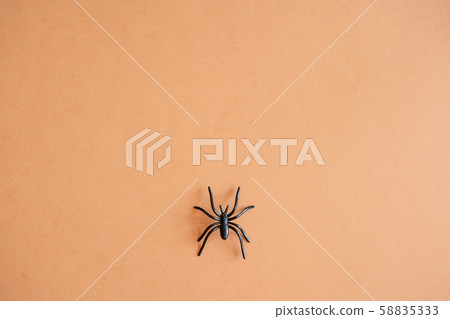 Halloween background decoration holiday concept. Minimal flat lay view of black spide. October Halloween background decoration holiday concept. Minimal flat lay view of black spide. October 58835333