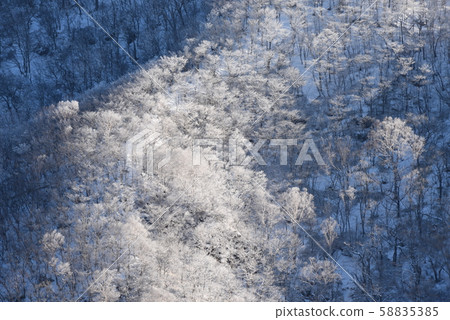 Snow red castle Snow red castle 58835385