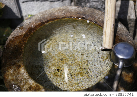 水錶面上的櫻花瓣 水錶面上的櫻花瓣 58835741