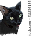 黑貓對角線 58836136
