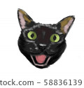 喵喵黑貓 58836139