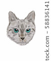 貓灰色 58836141