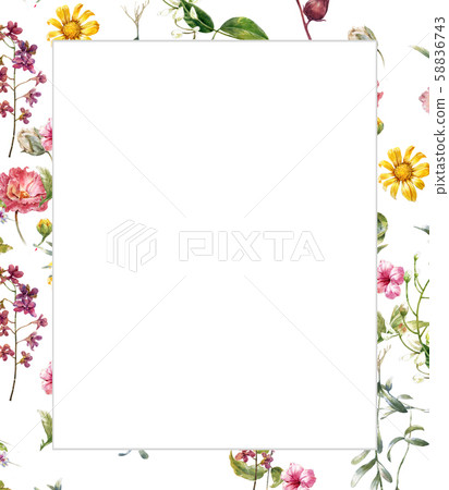 watercolor painting of leaves and flower, on white background watercolor painting of leaves and flower, on white background 58836743