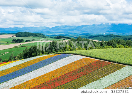 彩山美瑛町北海道 58837881