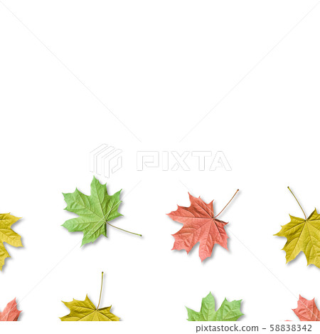Fall bacground, colorful maple leaves seamless pattern 58838342