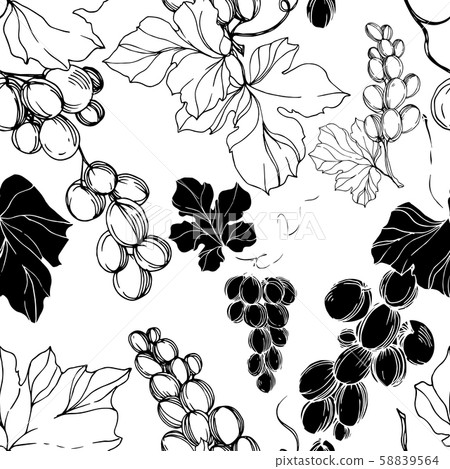 Grape berry healthy food. Black and white engraved ink art. Seamless background pattern. 58839564