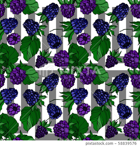 Vector Blackberry healthy food. Black and white engraved ink art. Seamless background pattern. Vector Blackberry healthy food. Black and white engraved ink art. Seamless background pattern. 58839576