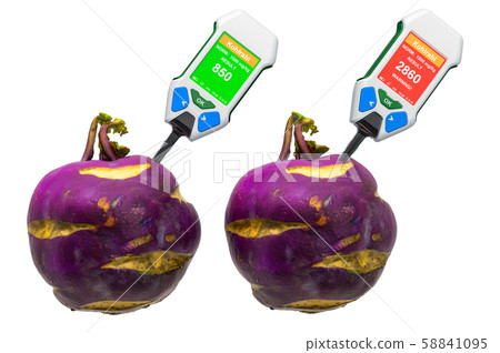 Nitrate testers with kohlrabi Nitrate testers with kohlrabi 58841095