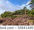 Kadowaki Suspension Bridge in Izujogasaki 58841486