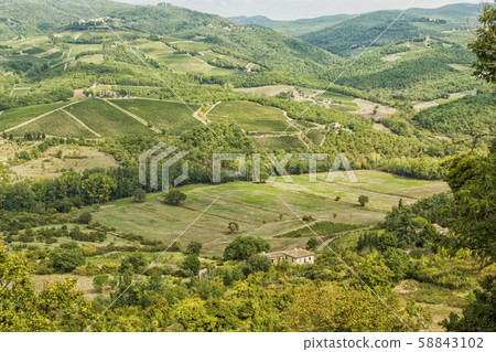 Vineyards landscapes in the morning in Albola in Vineyards landscapes in the morning in Albola in 58843102