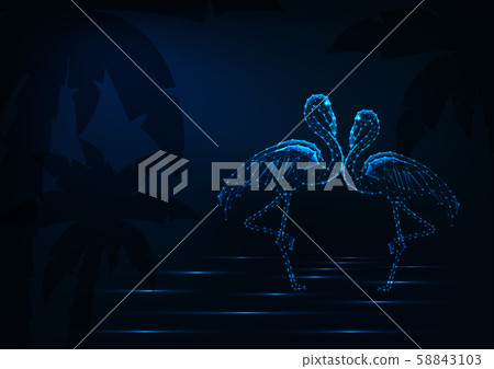 Couple of dancing and kissing flamingo standing in a water on night beach background with palm tree. 58843103