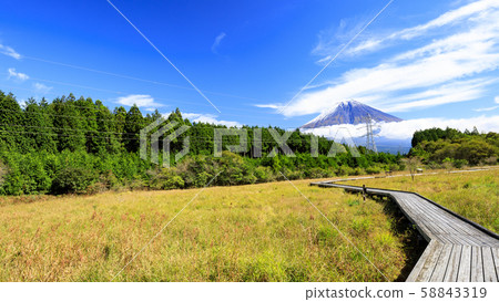 Odanuki Marshland (Autumn) 58843319