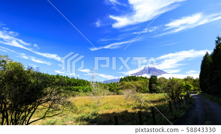 小谷沼地(秋天) 小谷沼地(秋天) 58843330