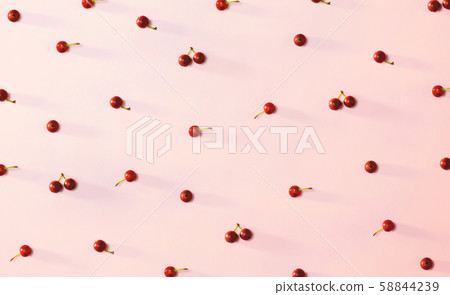 Collection of small red berries Collection of small red berries 58844239