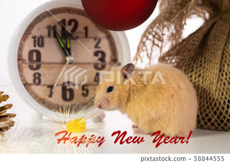 rat sits near a Christmas tree and watches. Symbol of 2020, new year, christmas. Happy New Year rat sits near a Christmas tree and watches. Symbol of 2020, new year, christmas. Happy New Year 58844555
