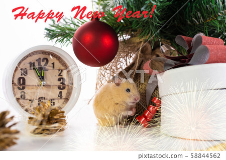 rat sits near a Christmas tree and watches. Symbol of 2020, new year, christmas. Happy New Year rat sits near a Christmas tree and watches. Symbol of 2020, new year, christmas. Happy New Year 58844562