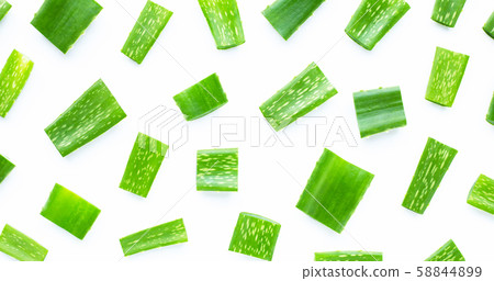 Aloe vera is a popular medicinal plant for health Aloe vera is a popular medicinal plant for health 58844899