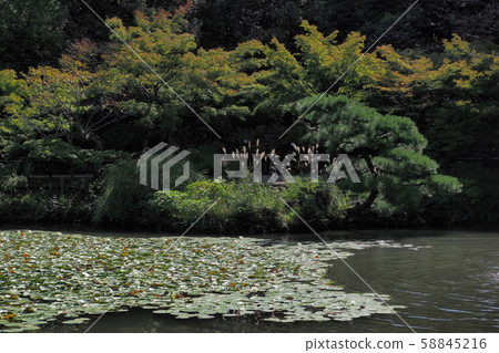 Higashiyama Botanical Garden Point View 58845216