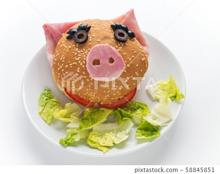 Female pig hamburger and lettuce salad on the Female pig hamburger and lettuce salad on the 58845851
