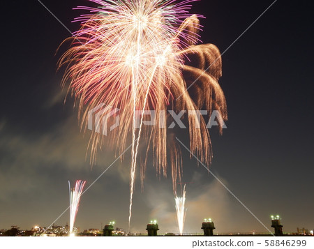 Fireworks in the night sky 58846299