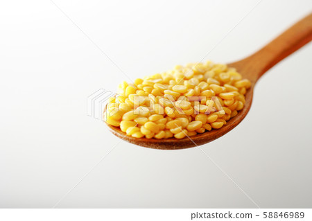 Mung Bean Mung Bean 58846989