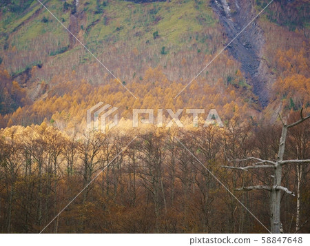 Autumn leaves gradation of Kamikochi 58847648