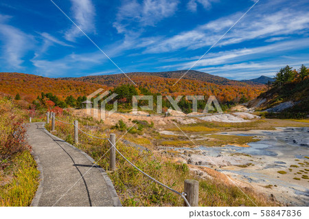 Autumn leaves promenade 58847836