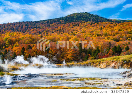 Autumn leaves Oyunuma Autumn leaves Oyunuma 58847839