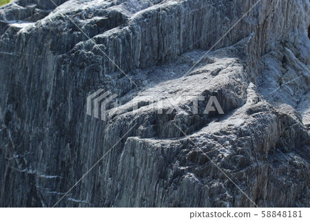 粗糙的皮膚 58848181