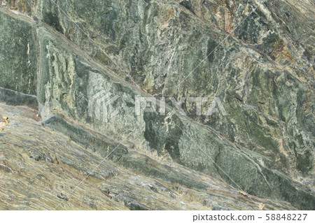 粗糙的皮膚 58848227