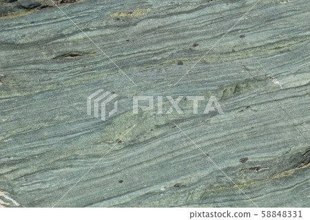 粗糙的皮膚 58848331