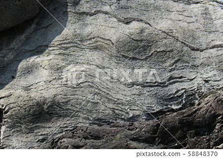 Rough rough skin Rough rough skin 58848370