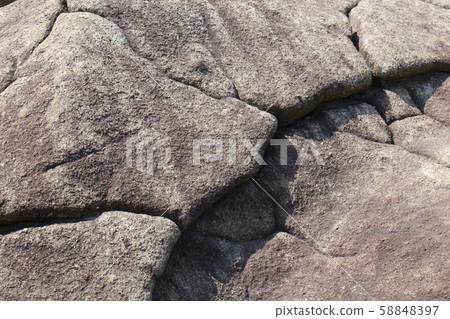 Rough rough skin 58848397